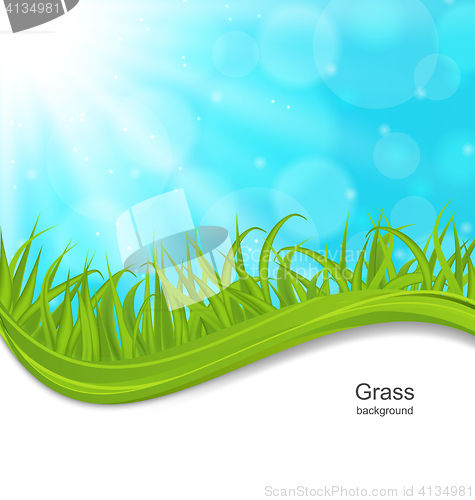 Image of Summer Natural Postcard with Green Grass