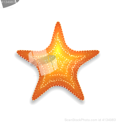 Image of Orange starfish with shadow isolated on white background
