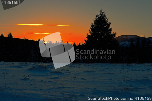 Image of orange sunset over spruce forest