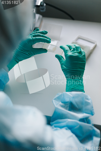 Image of Crop hands putting microscope glasses in box