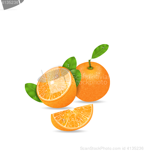 Image of Set Orange Fruits, Cut and Slices