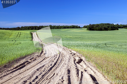 Image of Field with cereal