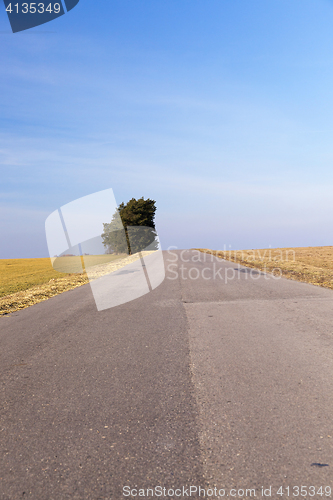 Image of rural road, tree