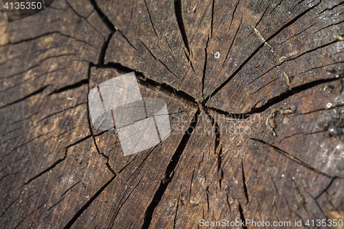 Image of old rotting logs