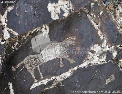 Image of Petroglyph in Sarmishsay, Uzbekistan