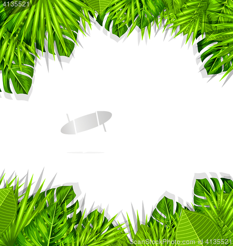 Image of Summer Fresh Background with Tropical Leaves