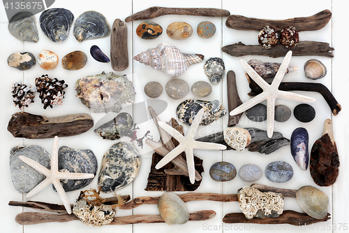 Image of Seaside Treasure Collage