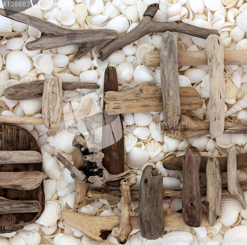 Image of Abstract Driftwood and Seashell Background