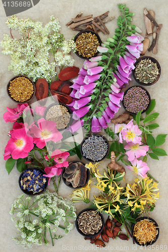 Image of Herbs and Flowers for Health