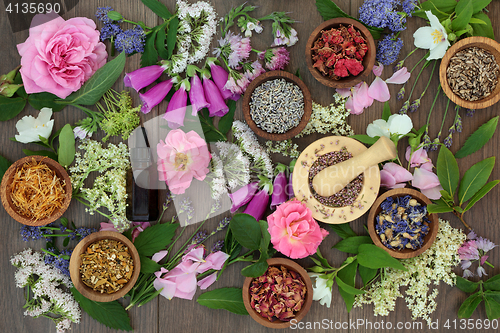 Image of Naturopathic Flowers and Herbs