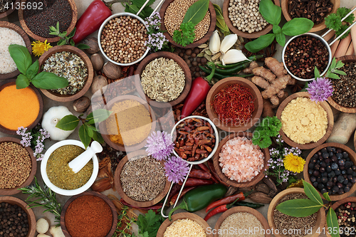 Image of Herb and Spice Seasoning