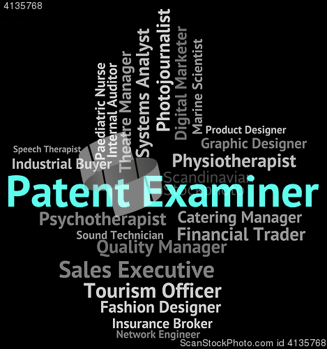 Image of Patent Examiner Means Performing Right And Analyst