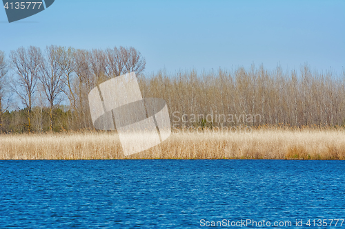 Image of Lake Shore in Autumn