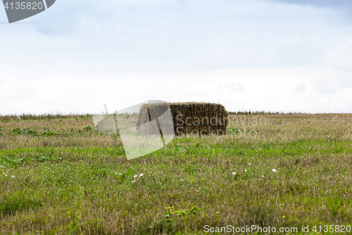 Image of square haystack closeup