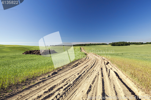 Image of Field with cereal