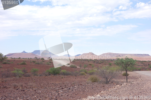 Image of desert road