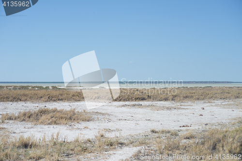 Image of Etosha park