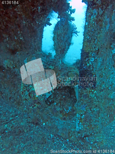 Image of massive shipwreck, sits on a sandy seafloor in bali