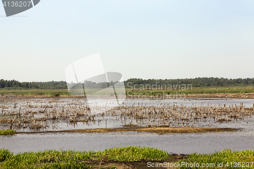 Image of moorland, summer time