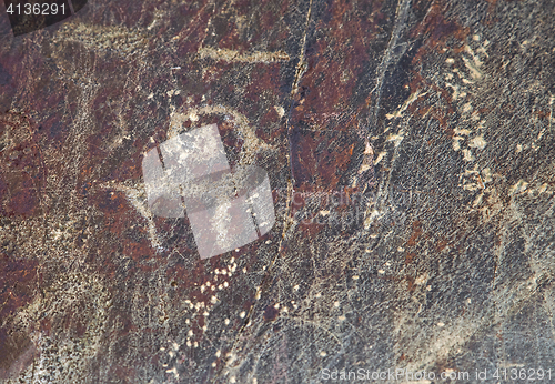 Image of Petroglyph in Sarmishsay, Uzbekistan