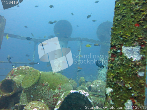 Image of massive shipwreck, sits on a sandy seafloor in bali