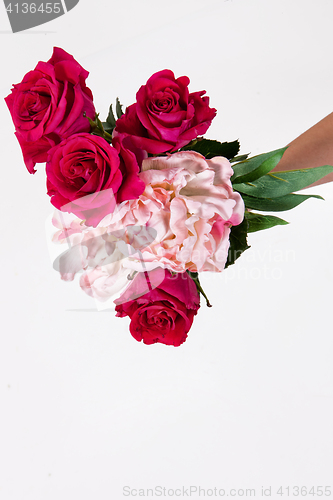 Image of Hands And Flowers