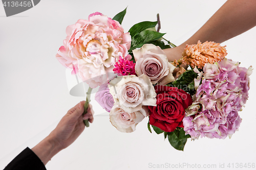 Image of Hands And Flowers