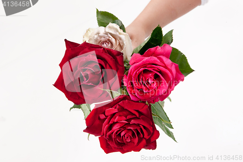 Image of Hands And Flowers