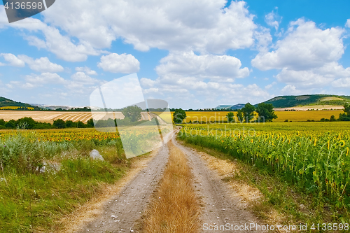 Image of Country Road between Fields