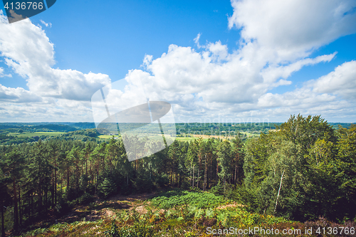 Image of Landscape view over trees