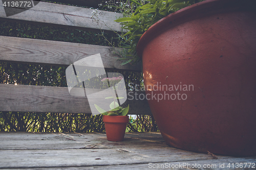 Image of Flower pots in dark red color 