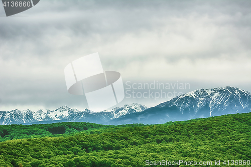 Image of Snow-covered Carpathian Mountains