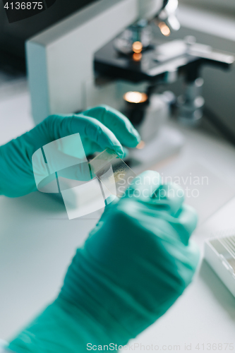 Image of Crop hands putting microscope glasses in box