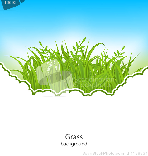 Image of Summer Natural Postcard with Green Grass 