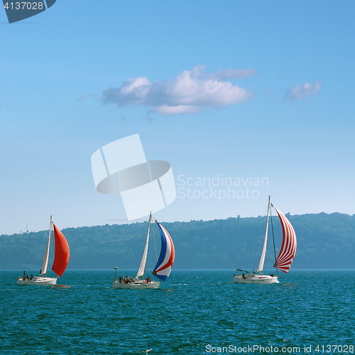 Image of Pro-Am Race in the Black Sea