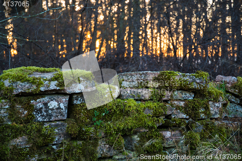 Image of Detail of an old mossy stone wall