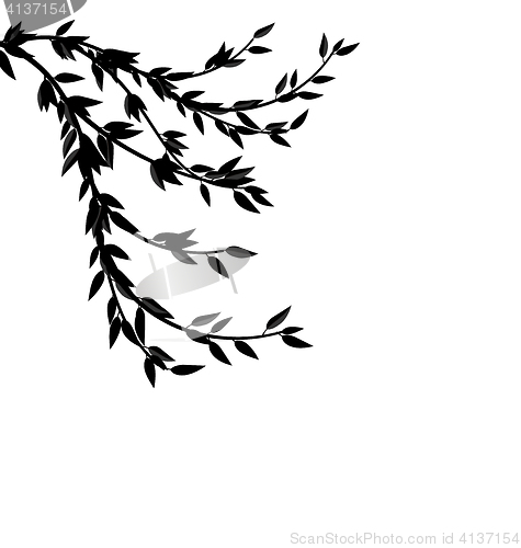 Image of  Black Silhouette Branch Tree with Leafs