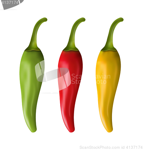 Image of Set of Colorful Chili Peppers Isolated on White Background