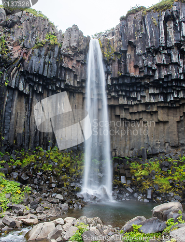 Image of Svartifoss (Black Fall), Skaftafell, Iceland