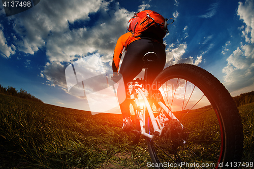 Image of biker in orange jersey riding on green summer field