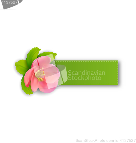 Image of Special spring offer sticker with flower, isolated on white back