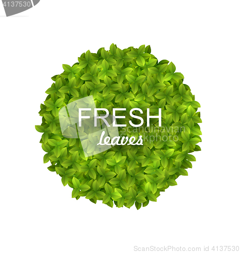 Image of Eco Friendly Circle Frame Made in Green Leaves