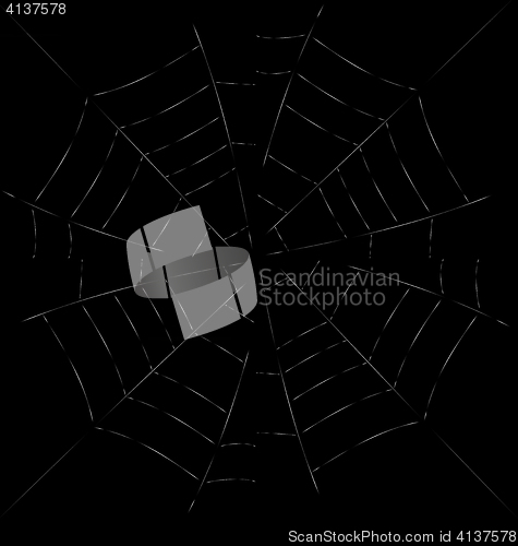 Image of Trap Spider Web