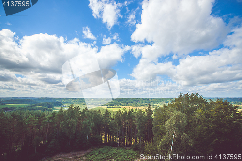 Image of Forest scenery with white clouds