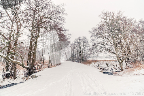 Image of Forest trail with snow in the winter