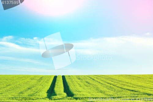 Image of Rural countryside landscape with blue sky