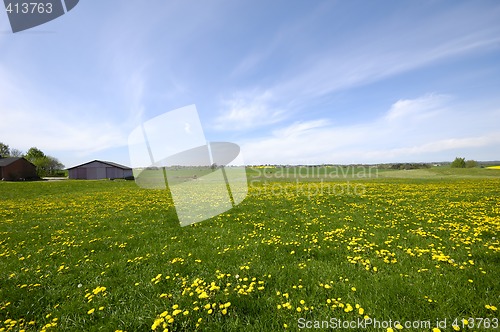 Image of Landscape with farm in the background