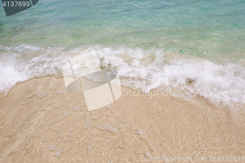 Image of Tropical beach at the Ocean