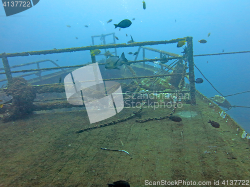 Image of massive shipwreck, sits on a sandy seafloor in bali