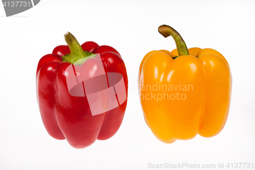Image of Two Isolated Peppers